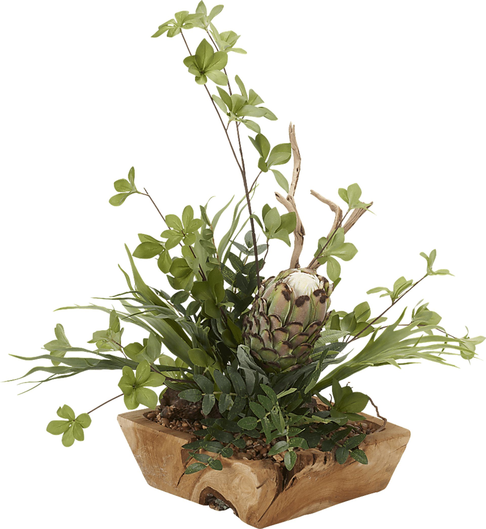 Robey Green Mink Protea Silk Plant - Image 1