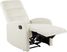 Royervista Recliner