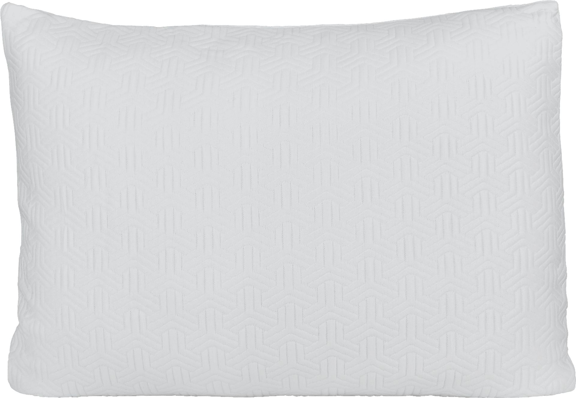 RTG Sleep Standard Pillow-in-a-Bag - Image 1