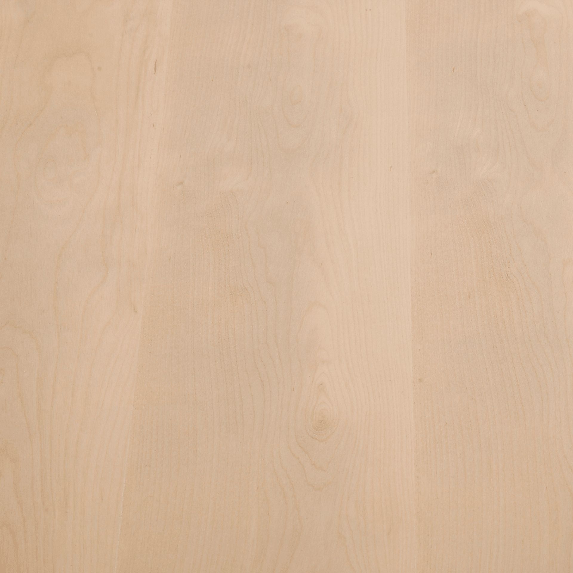 Rushworth I Natural Accent Bench - Image 6