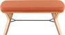 Rushworth I Orange Accent Bench