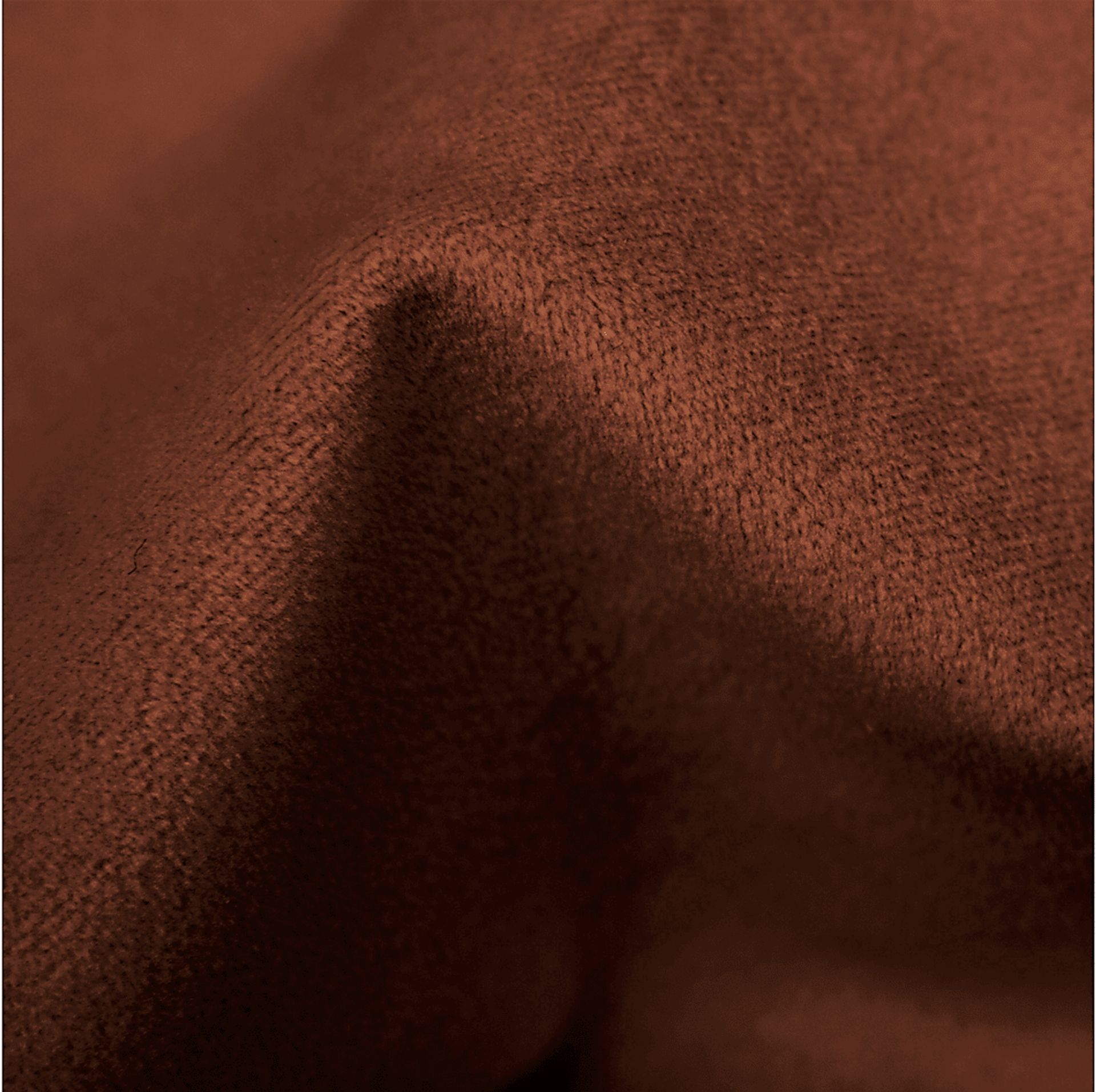 Rustic Saddle I Orange Queen Upholstered Bed - Image 5