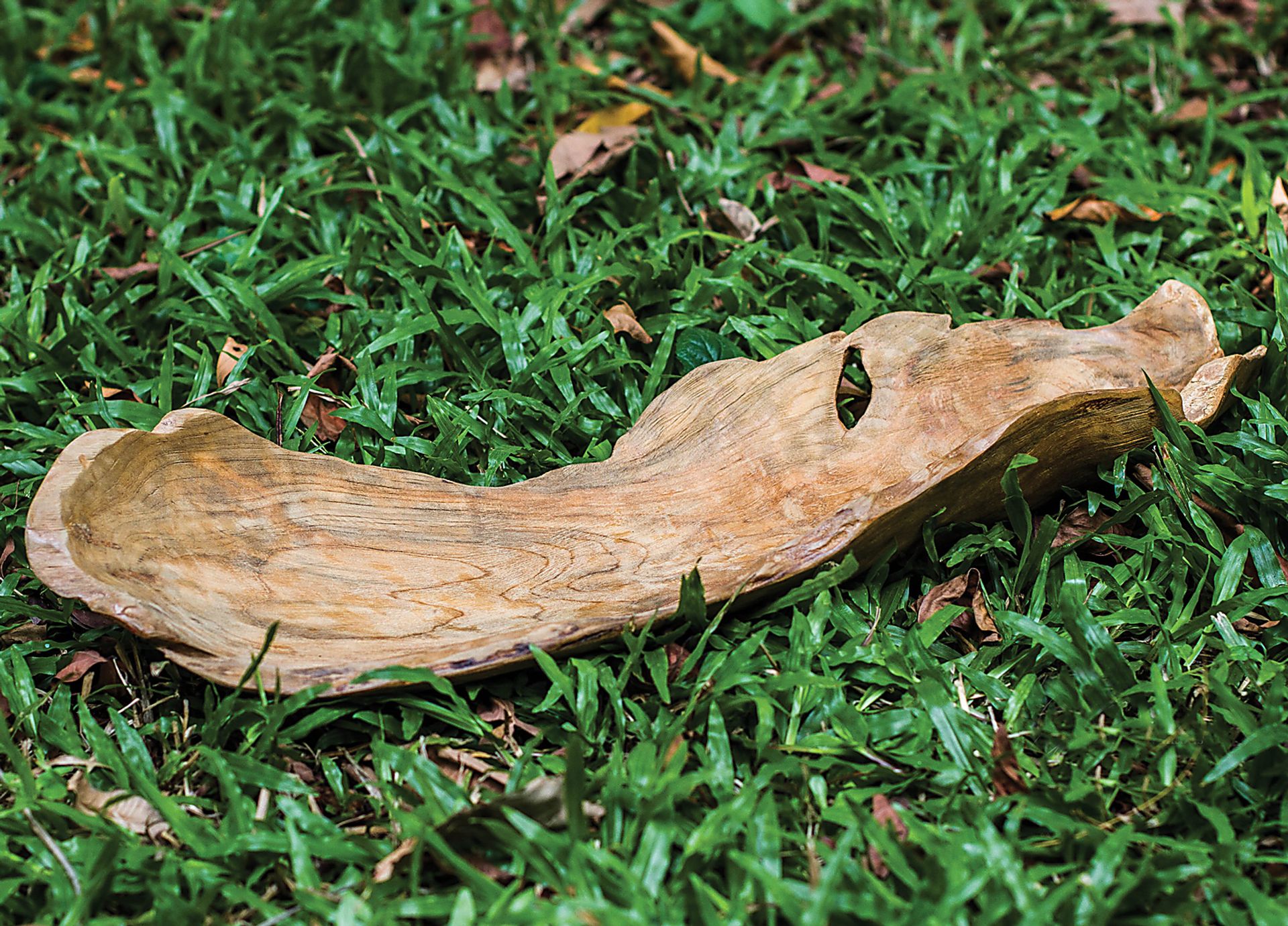 Sabriel Brown Bowl - Image 3