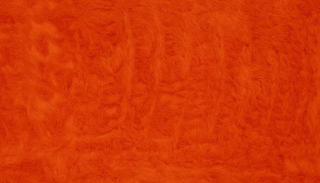 Kids Sadie Orange 2'7" x 3'11" Rug - Thumbnail - Image 1