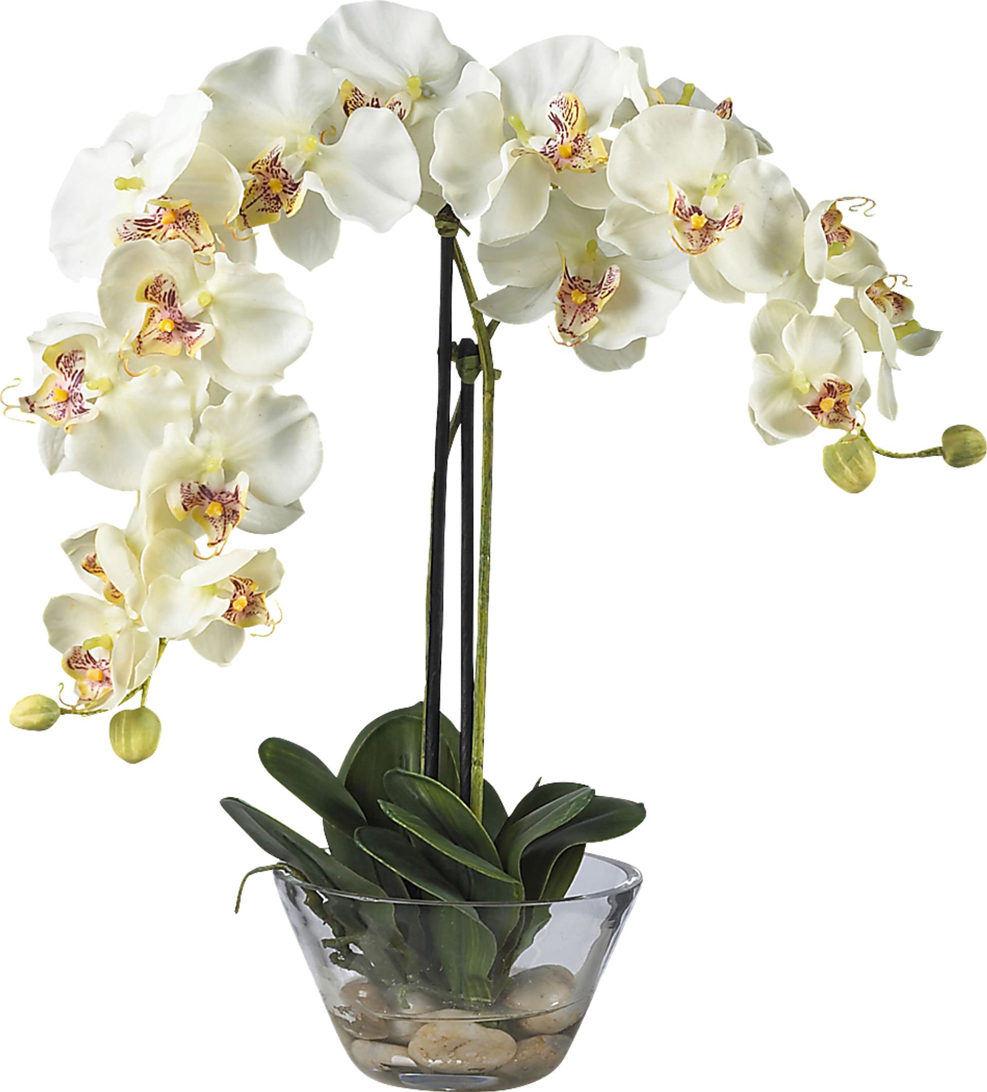 Saidy Green Orchid Silk Floral - Image 1