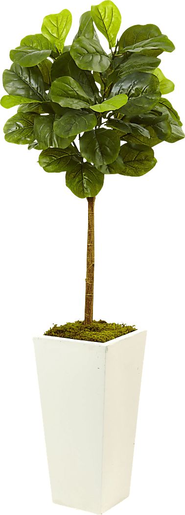 Saira Green Fiddle Leaf Silk Tree
