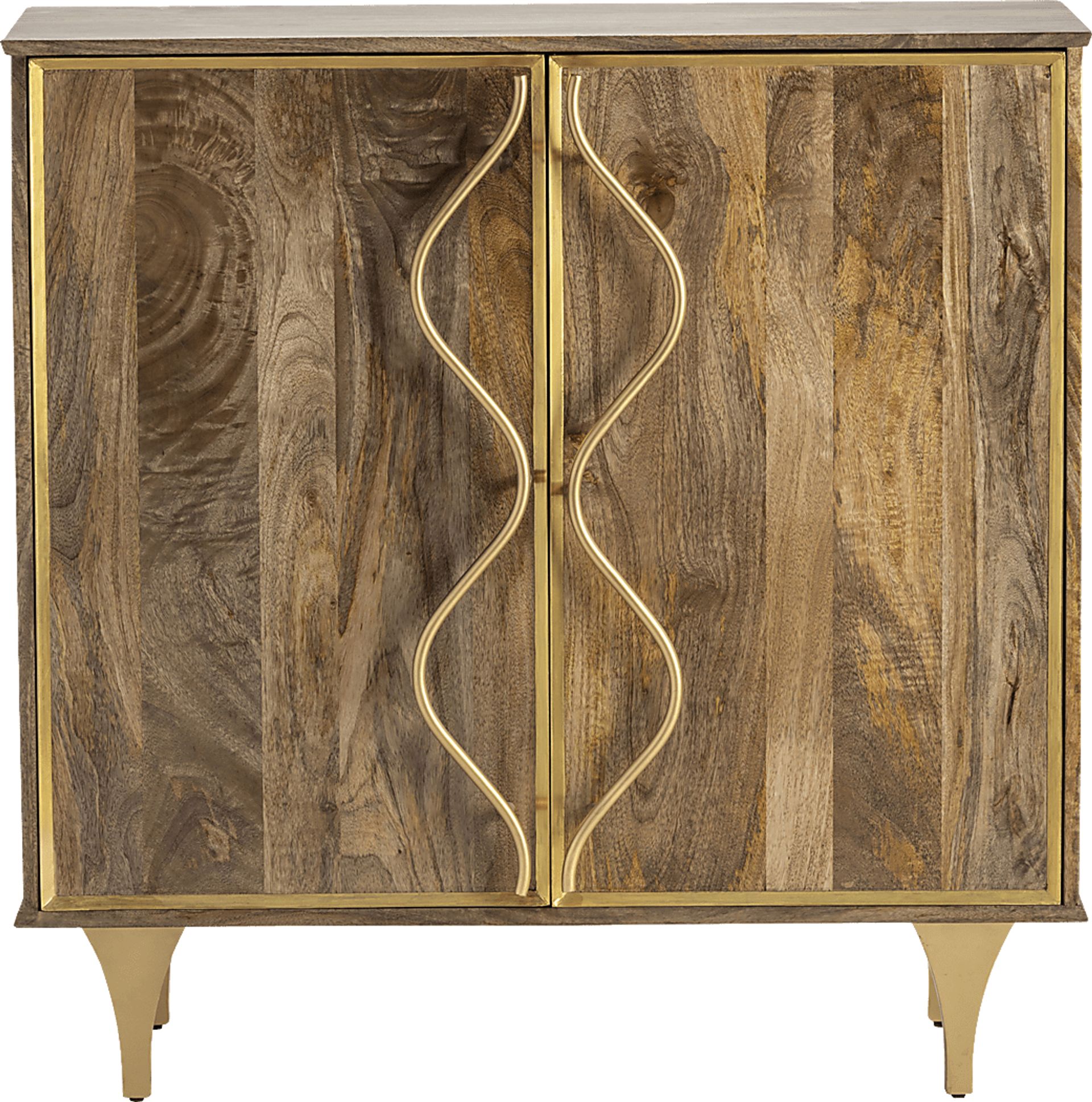 Saldana Brown 2 Door Cabinet - Image 1