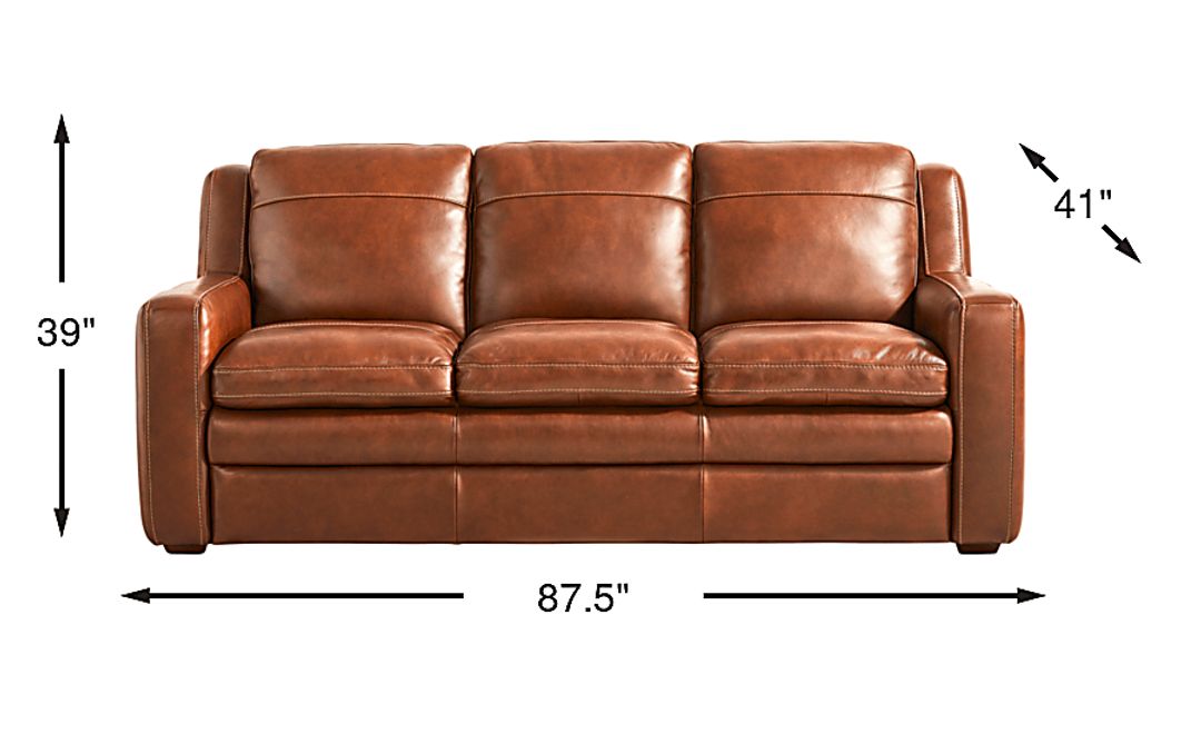 Salinger Leather Premium Sleeper Gel Foam Sofa