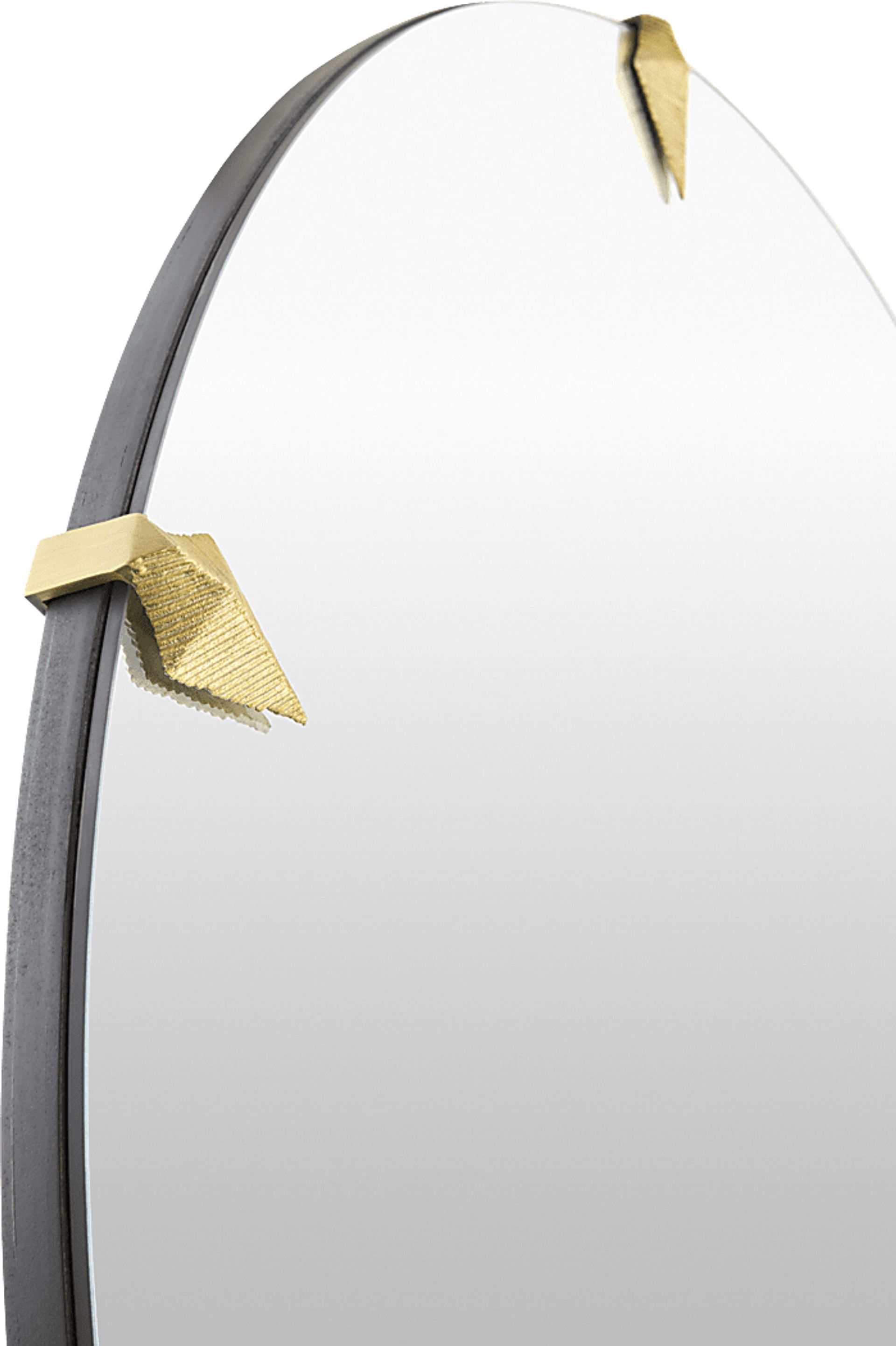 Salkiae Gold Mirror - Image 2
