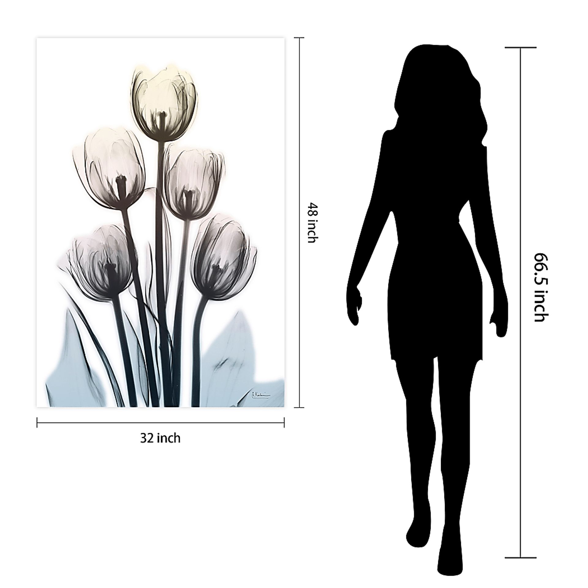 Sambrano Multi Artwork - Image 7