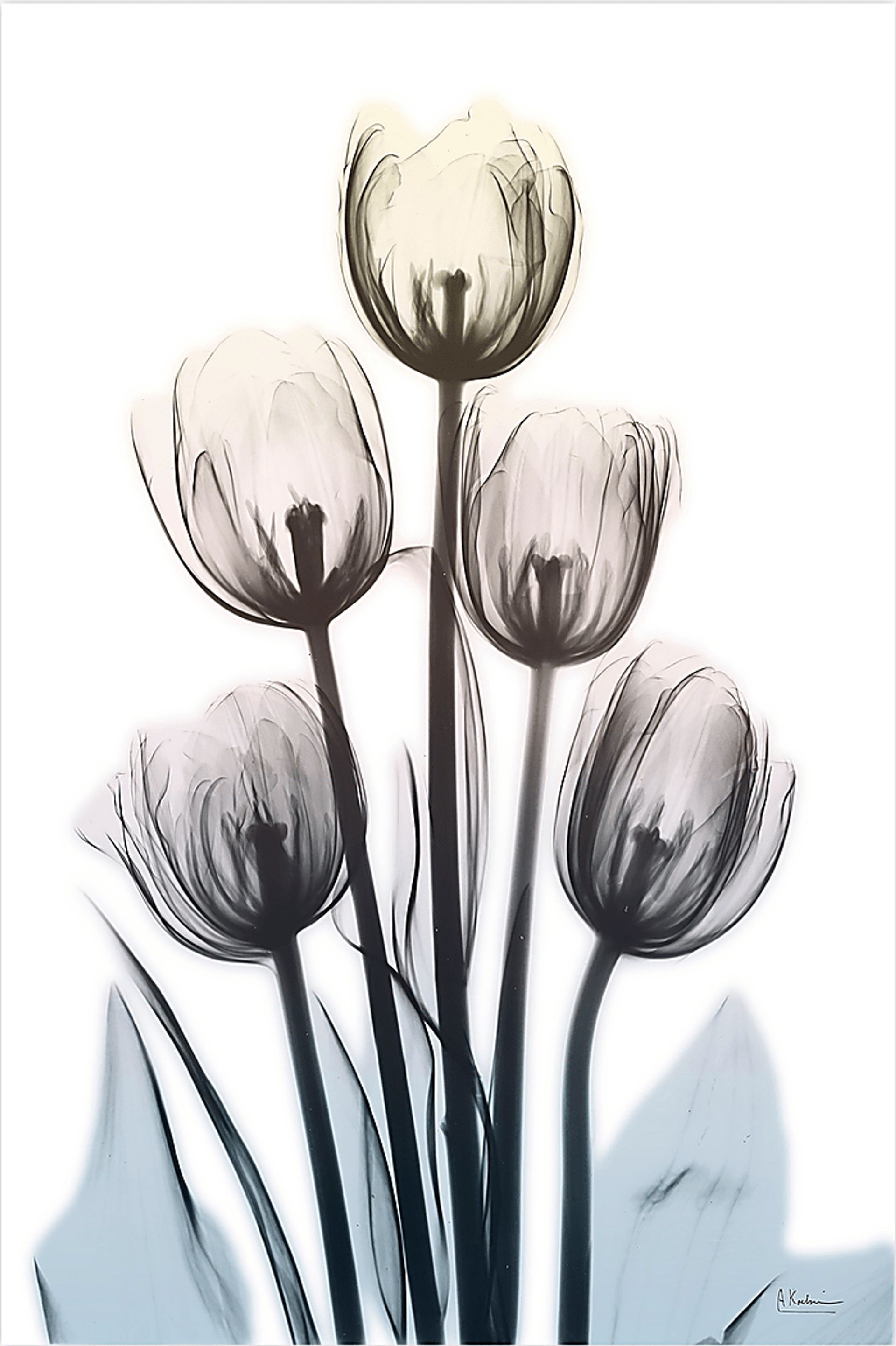 Sambrano Multi Artwork - Image 1