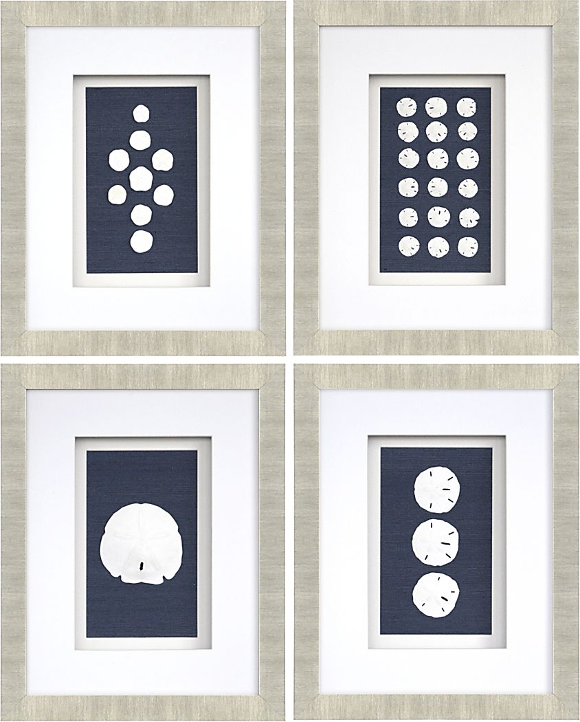 Sand Dollars Set of 4 Artwork