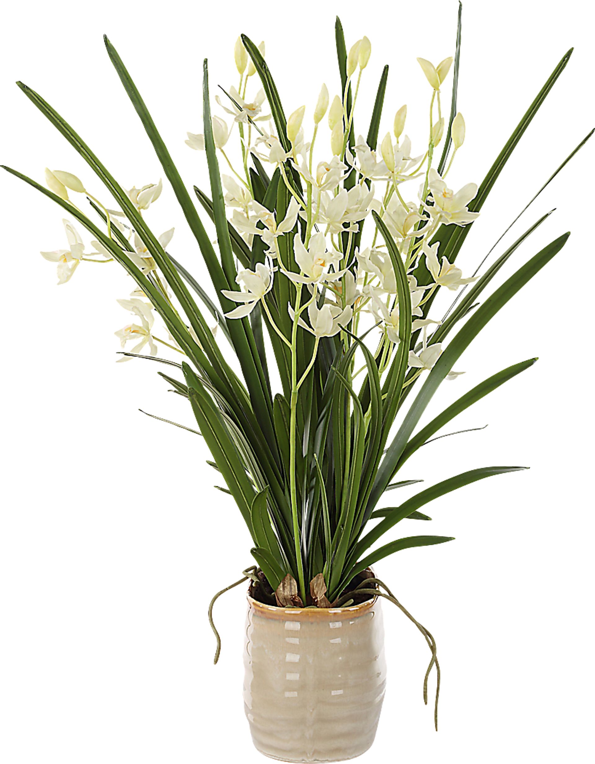 Sanuria White Silk Floral - Image 3