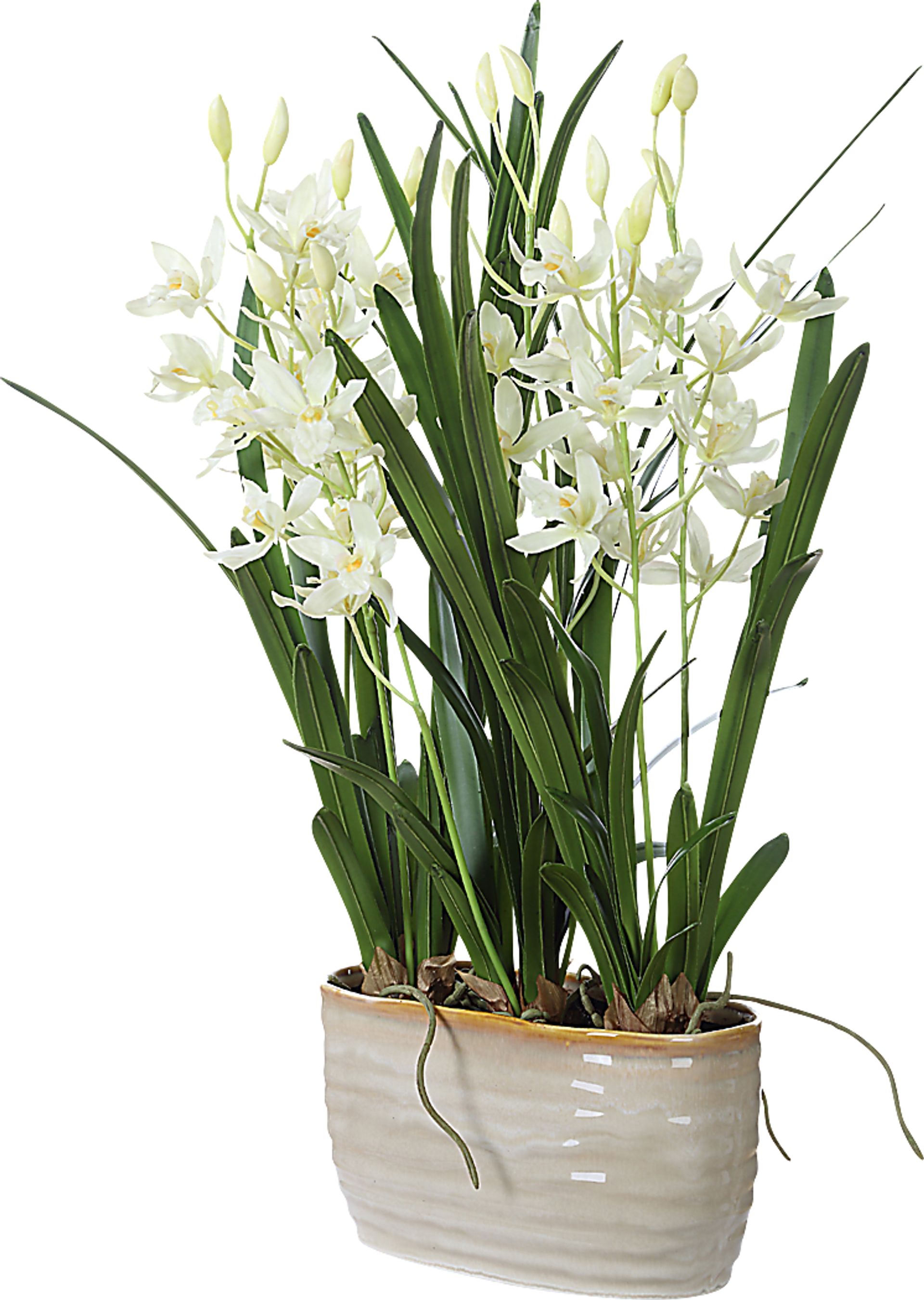 Sanuria White Silk Floral - Image 4