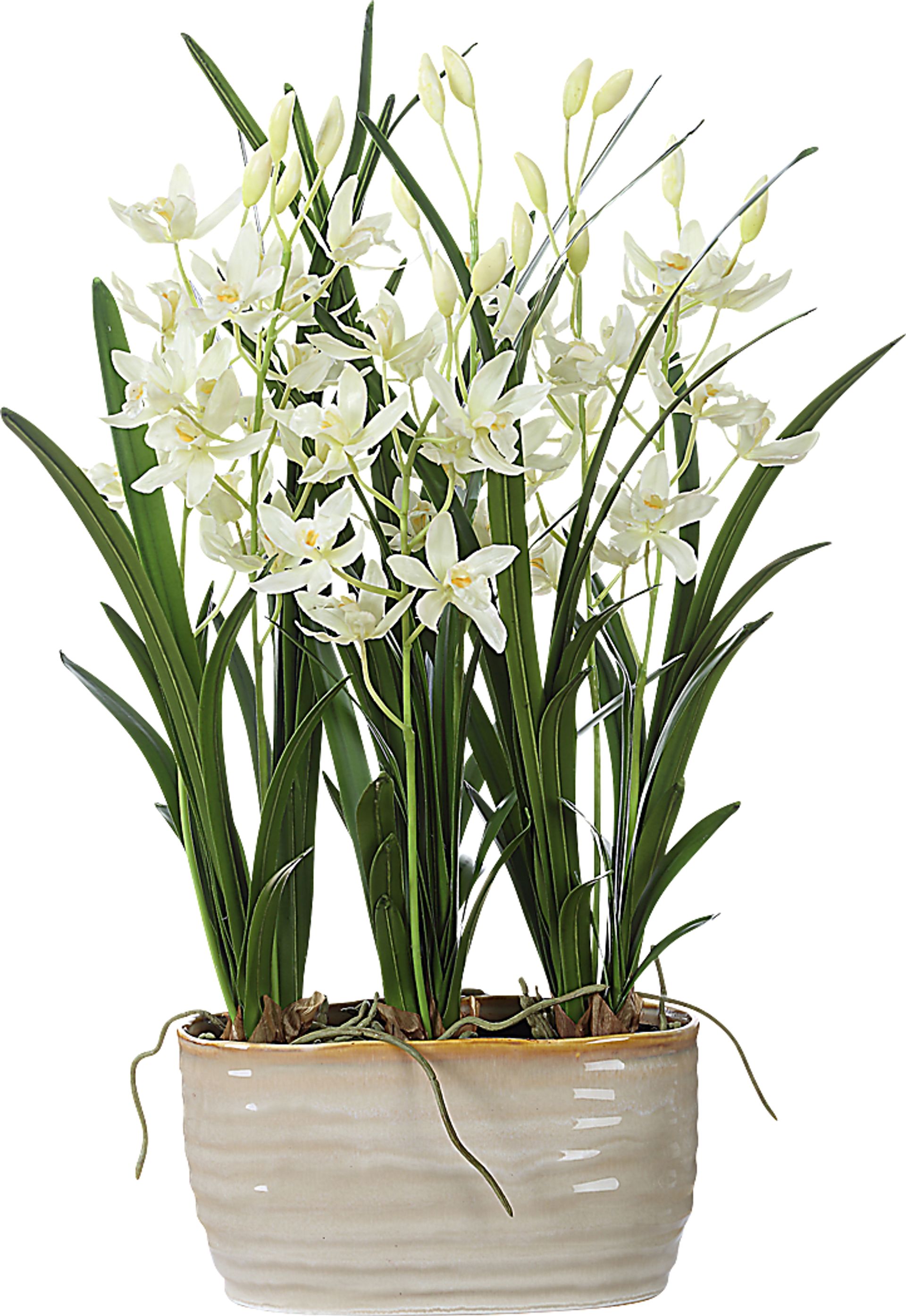 Sanuria White Silk Floral - Image 1