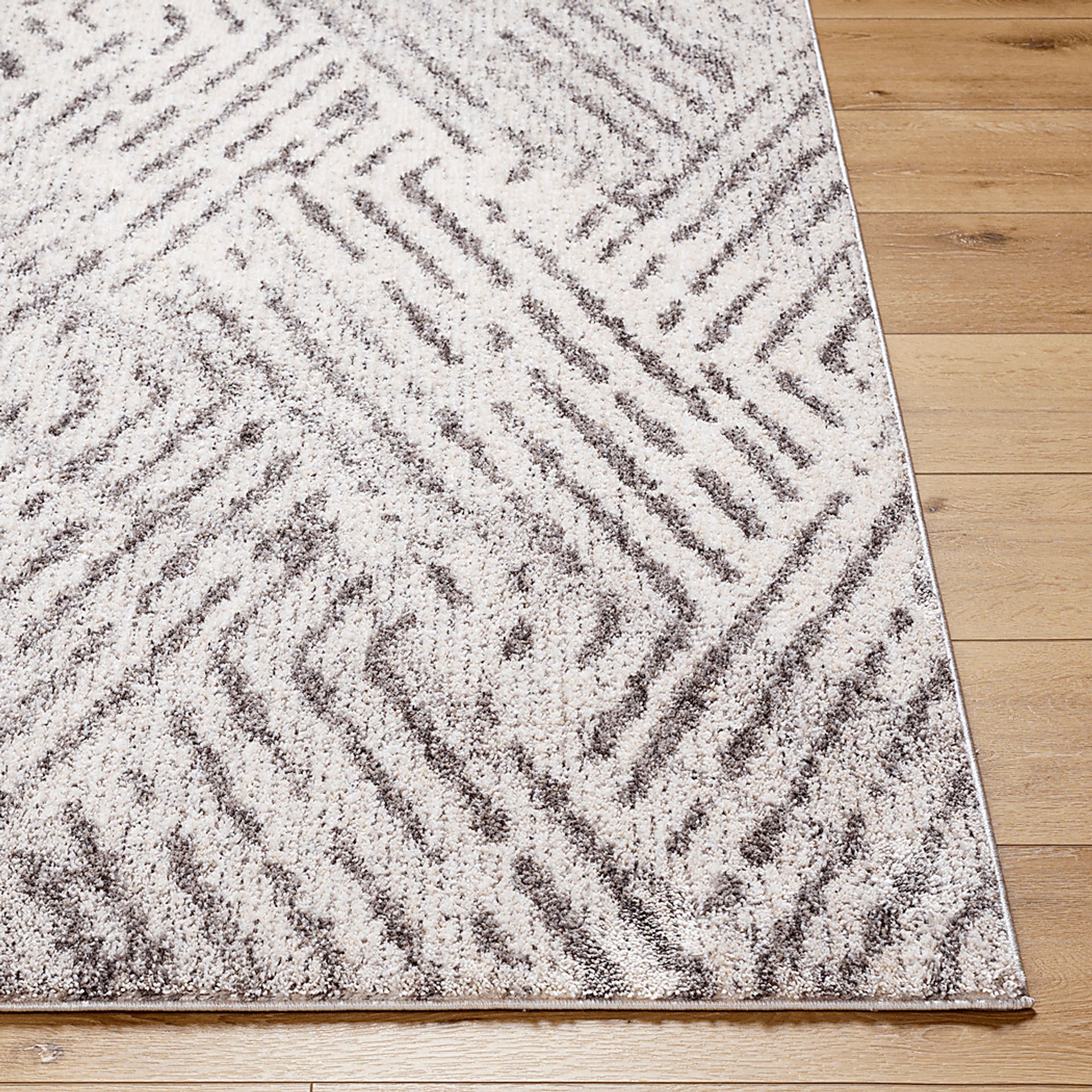 Saraf Light Gray 5'3 x 7' Area Rug - Image 3