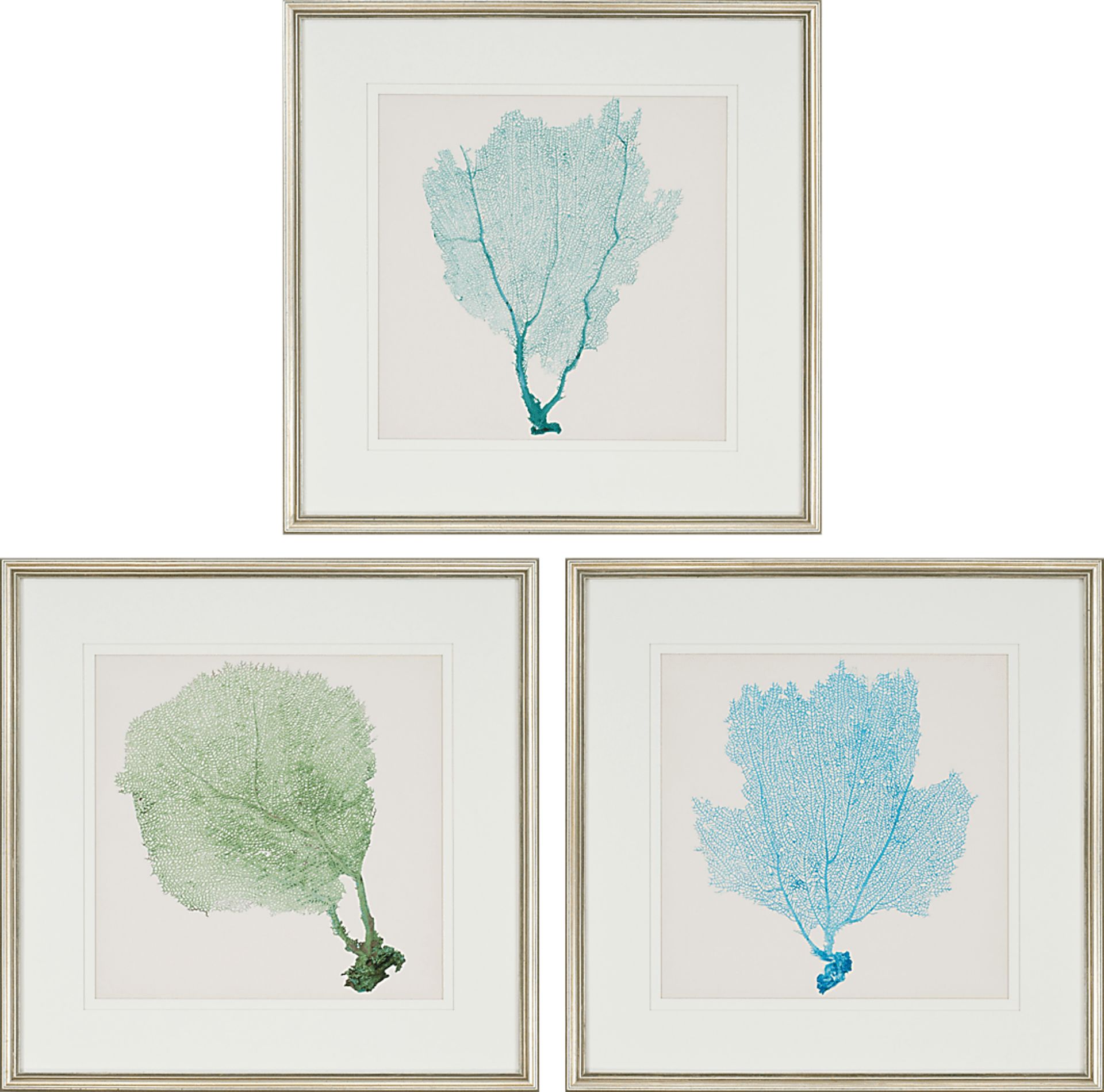 Sarvene I Set of 3 Artwork - Image 1