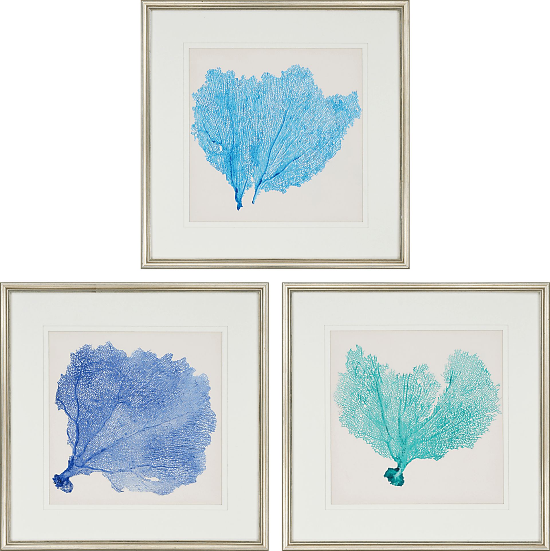 Sarvene II Set of 3 Artwork - Image 1