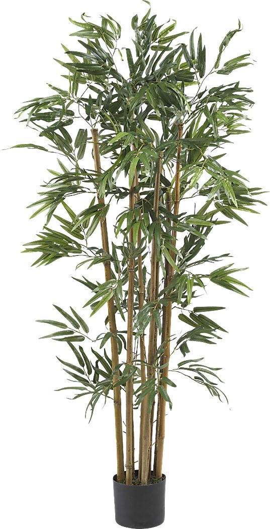 Satoru Green Bamboo Silk Tree