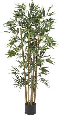 Satoru Green Bamboo Silk Tree