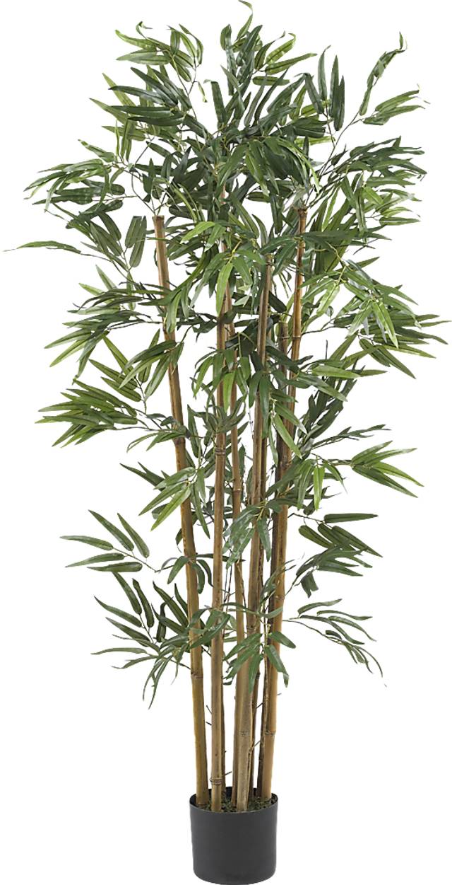Satoru Green Bamboo Silk Tree - Thumbnail - Image 1