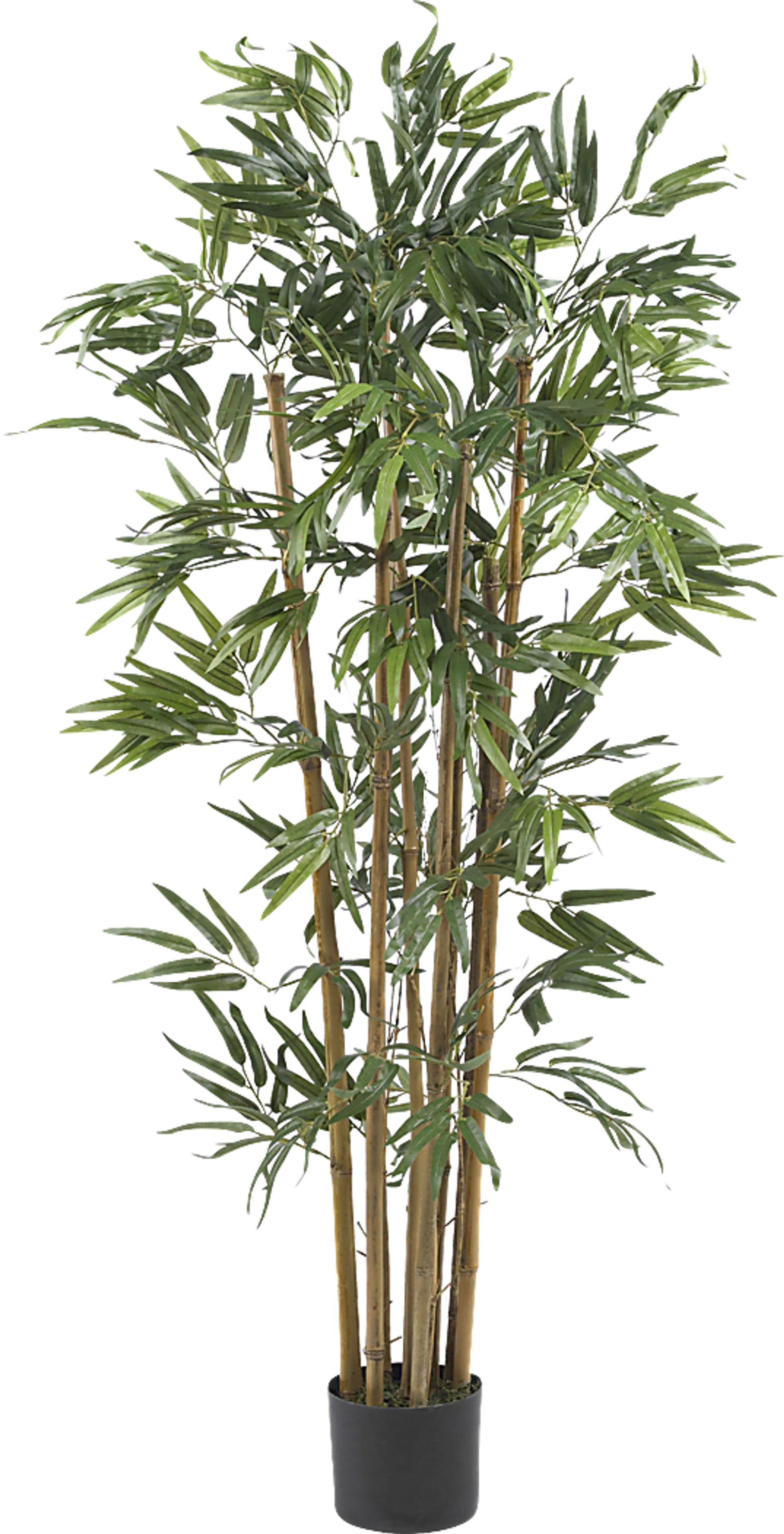 Satoru Green Bamboo Silk Tree - Image 1