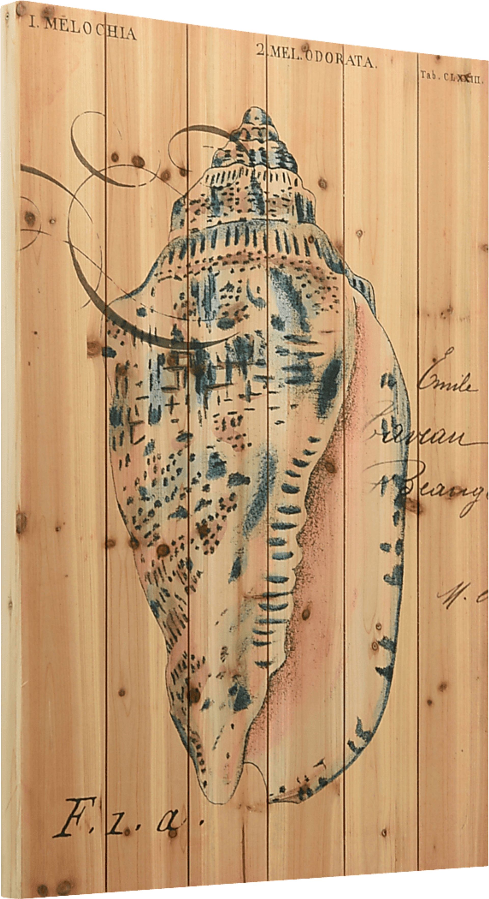 Sea Gems I Artwork - Image 2