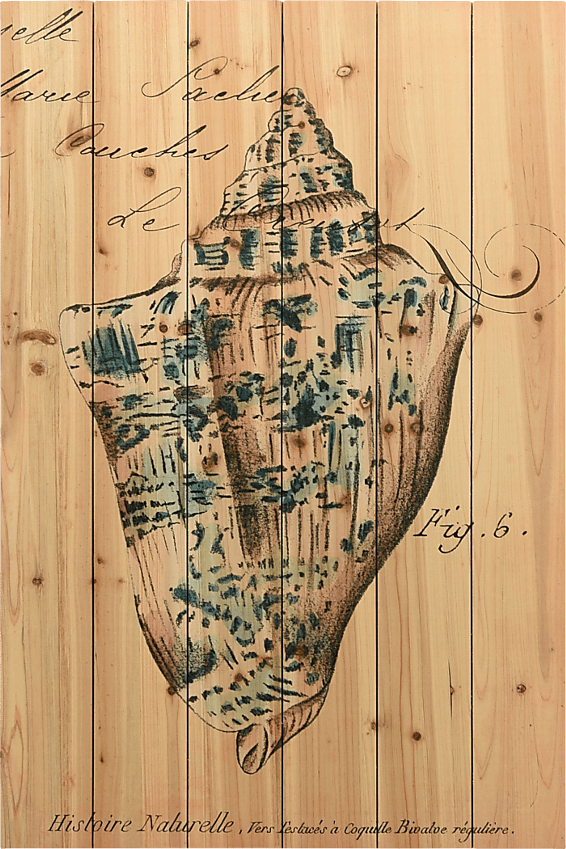 Sea Gems III Artwork - Image 1