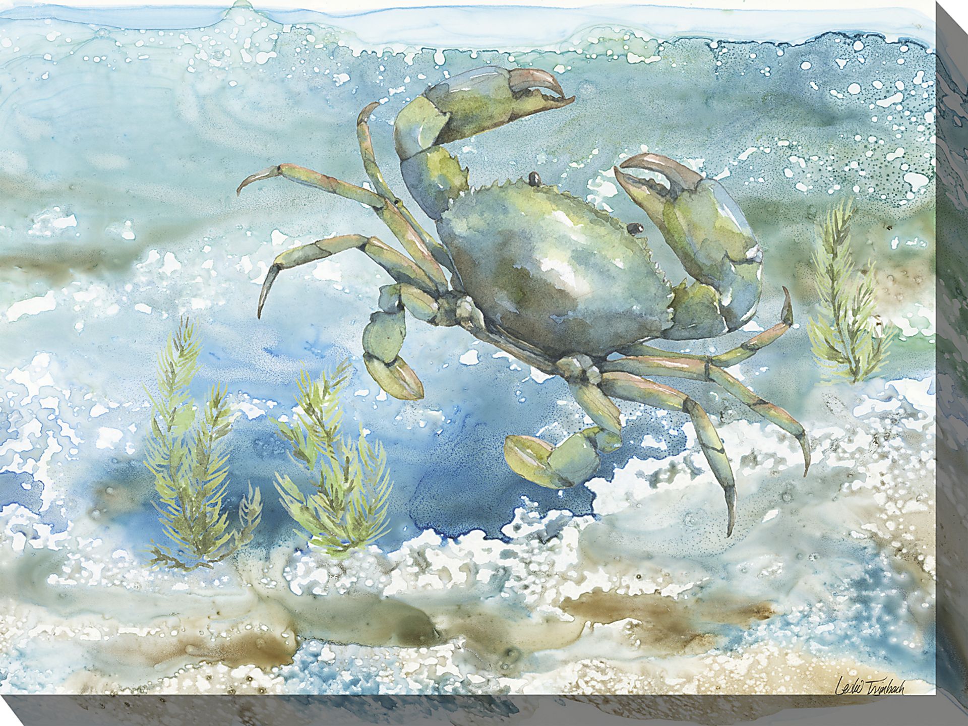 Sea Life Crab Aqua Indoor/Outdoor Wall Art - Image 1