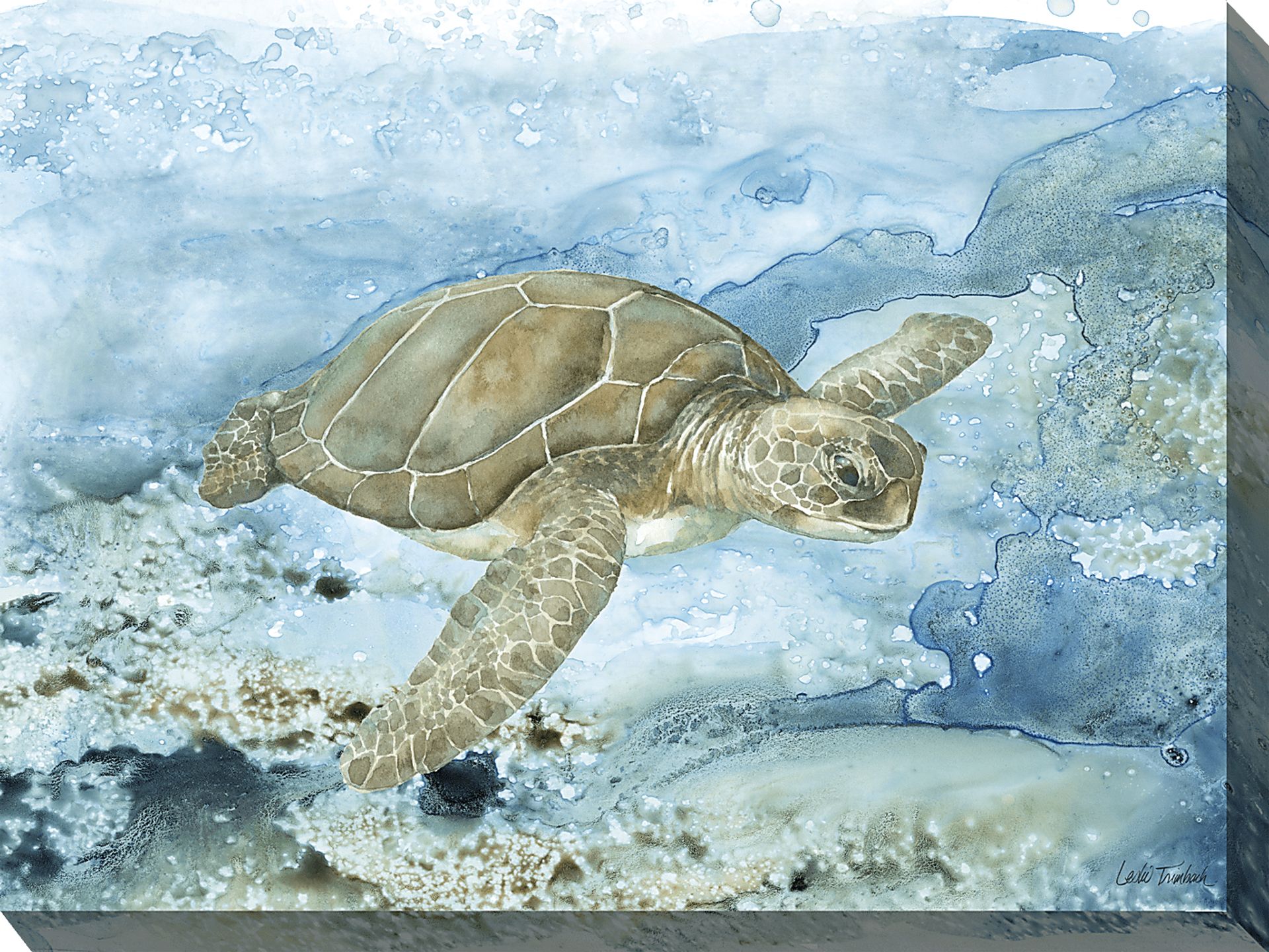 Sea Life Turtle Aqua Indoor/Outdoor Wall Art - Image 1