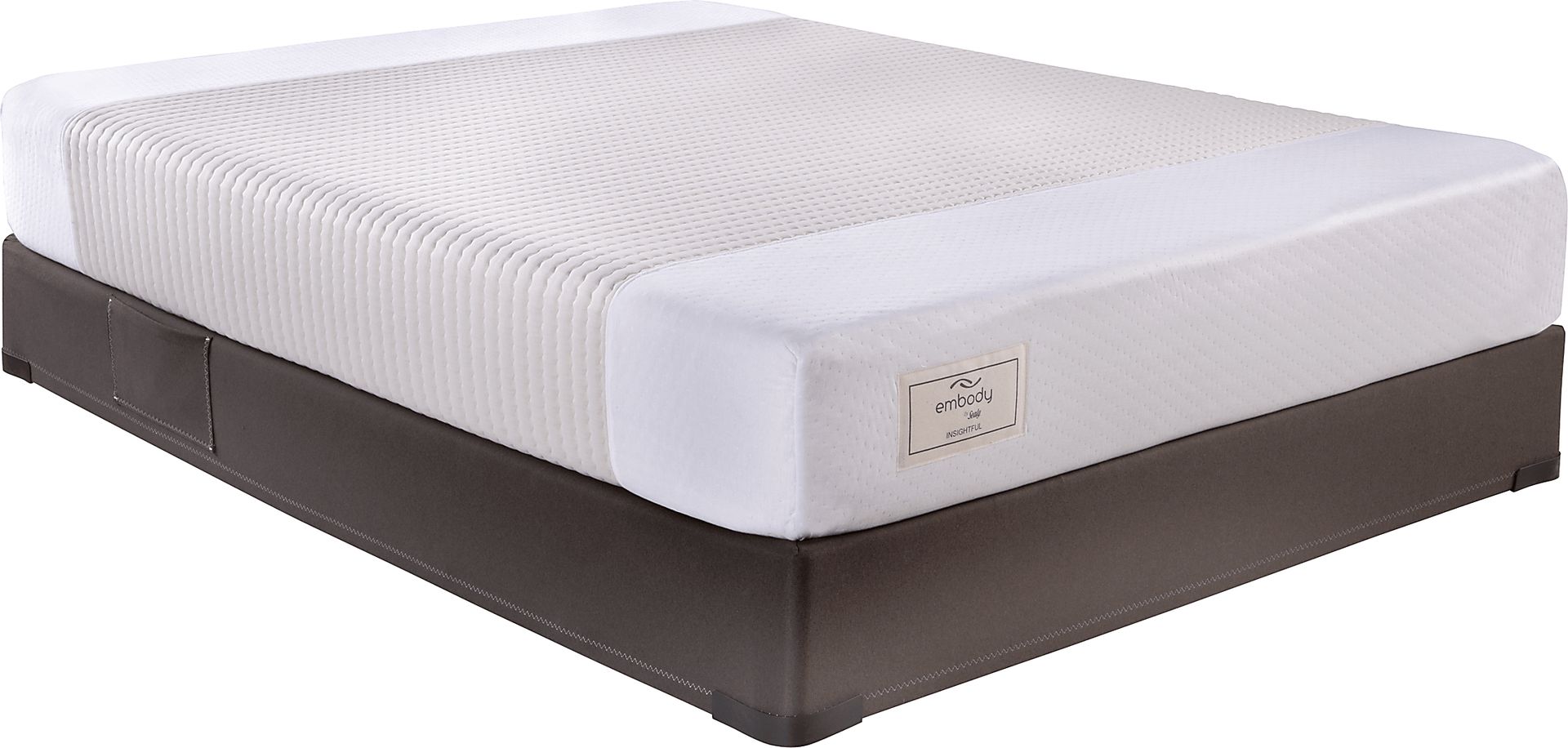 Sealy Embody Insightful Queen Low Profile Mattress Set Plus Plus HDTV - Image 1