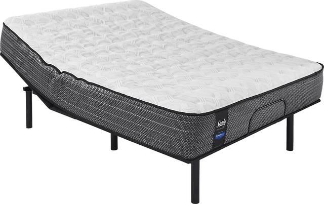 Sealy Performance Coral Oaks King Mattress with RTG Sleep 2000 Adjustable Base - Thumbnail - Image 1