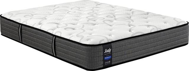 Sealy Performance Palm Harbor Queen Mattress - Thumbnail - Image 1