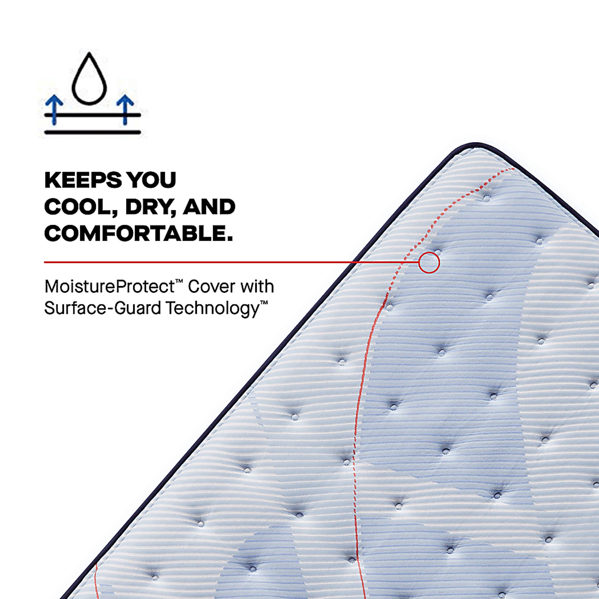 Sealy Posturepedic Castle Rock King Mattress - Image 10