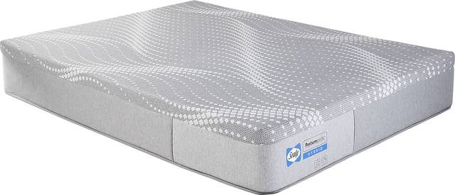 Sealy Posturepedic Elder Creek Queen Mattress - Thumbnail - Image 1