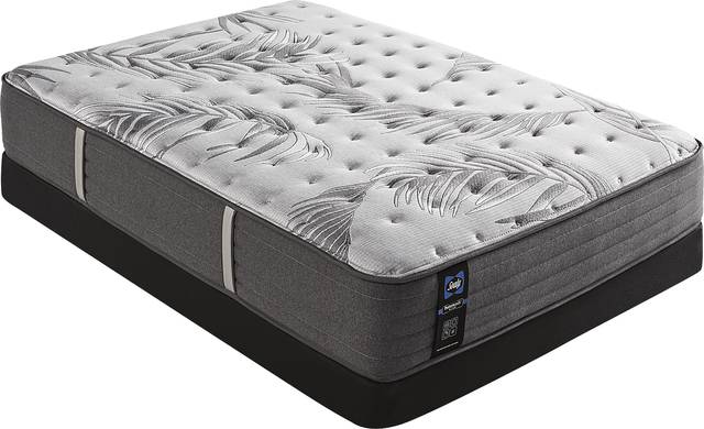Sealy Posturepedic Plus Lockfield Low Profile Full Mattress Set - Thumbnail - Image 1