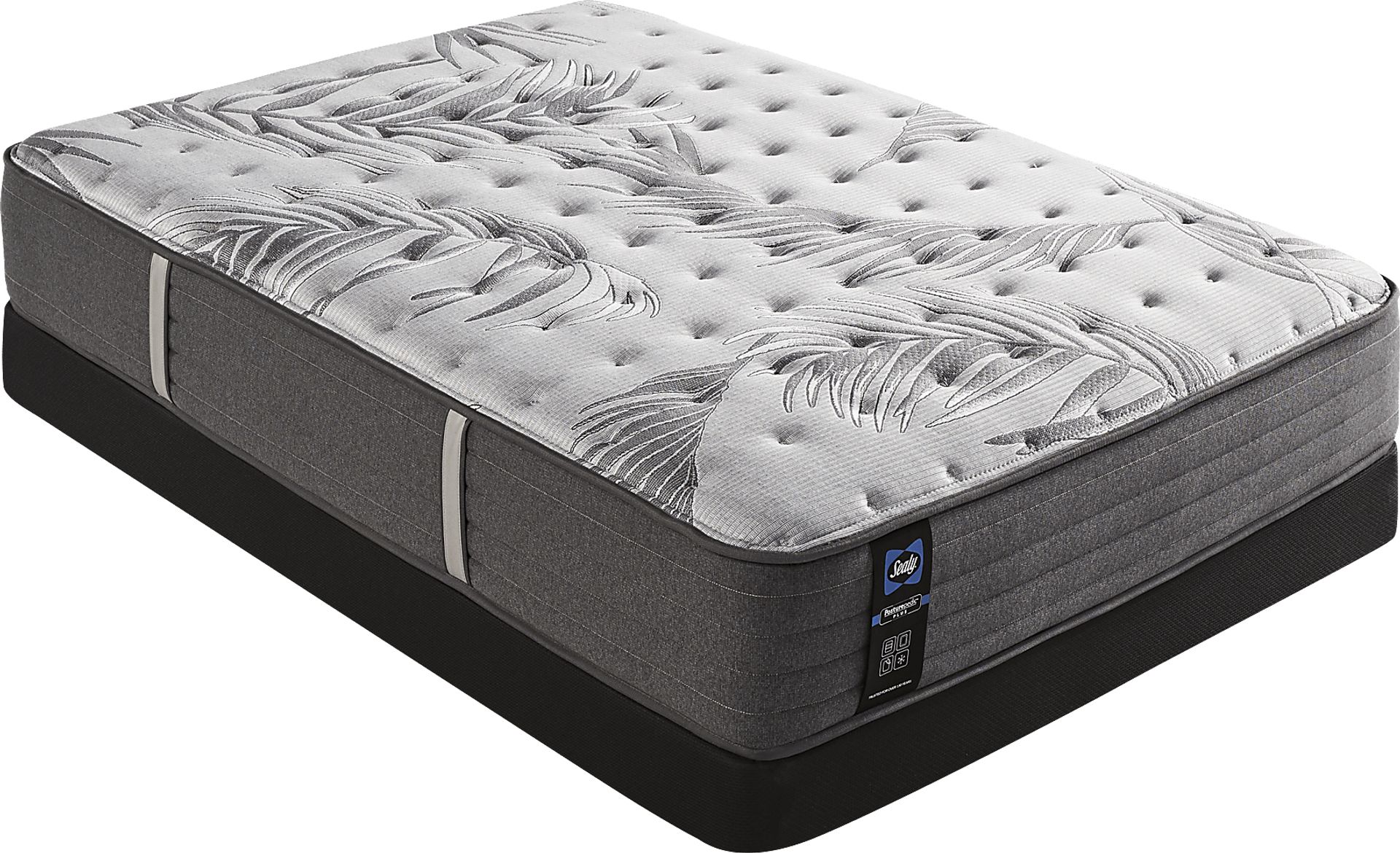 Sealy Posturepedic Plus Lockfield Low Profile Full Mattress Set - Image 1