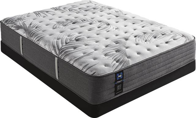 Sealy Posturepedic Plus Lockfield Low Profile Queen Mattress Set - Thumbnail - Image 1