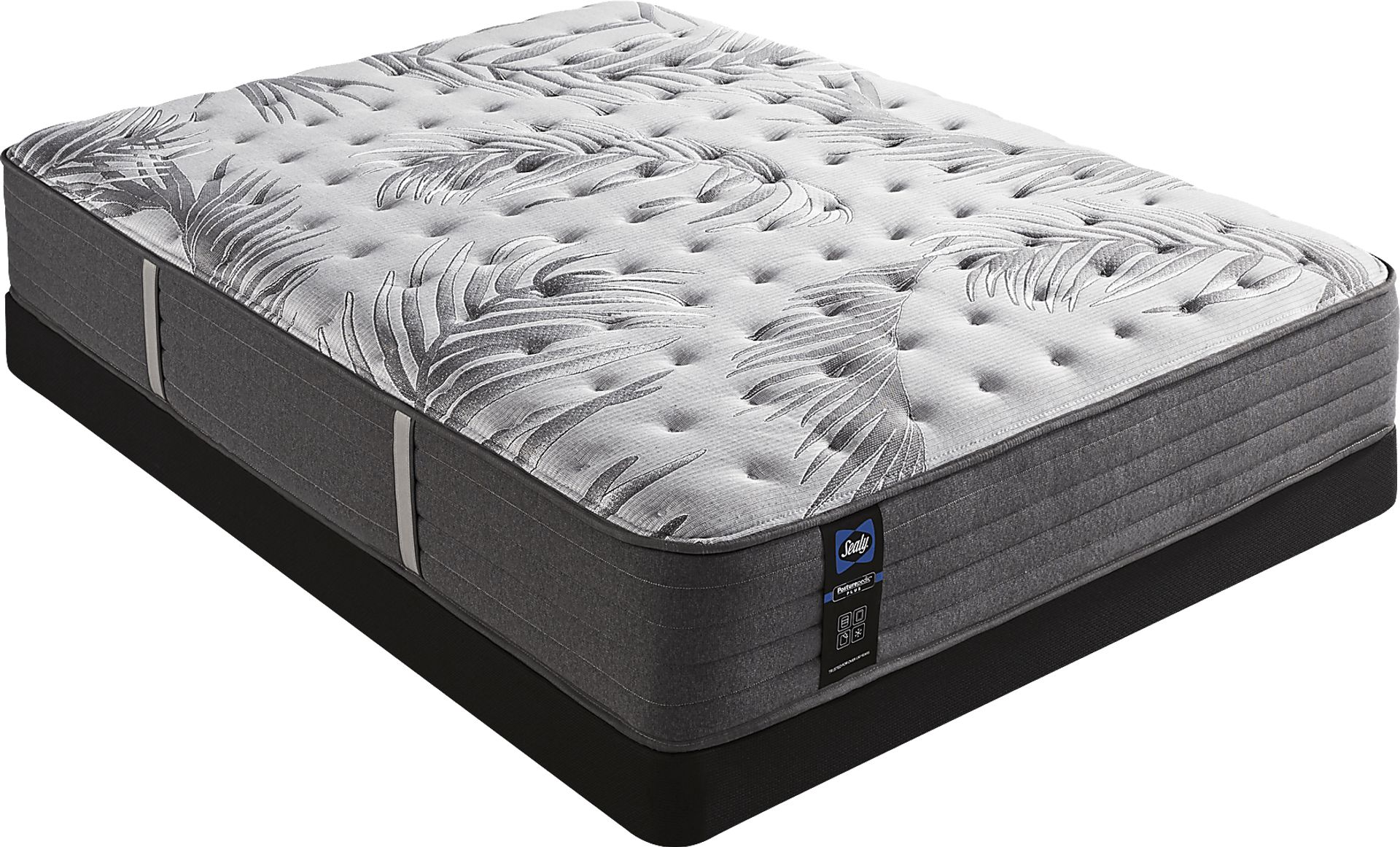 Sealy Posturepedic Plus Lockfield Low Profile Queen Mattress Set - Image 1