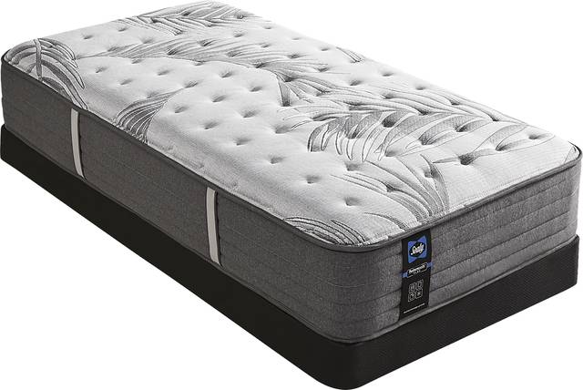 Sealy Posturepedic Plus Lockfield Low Profile Twin Mattress Set - Thumbnail - Image 1