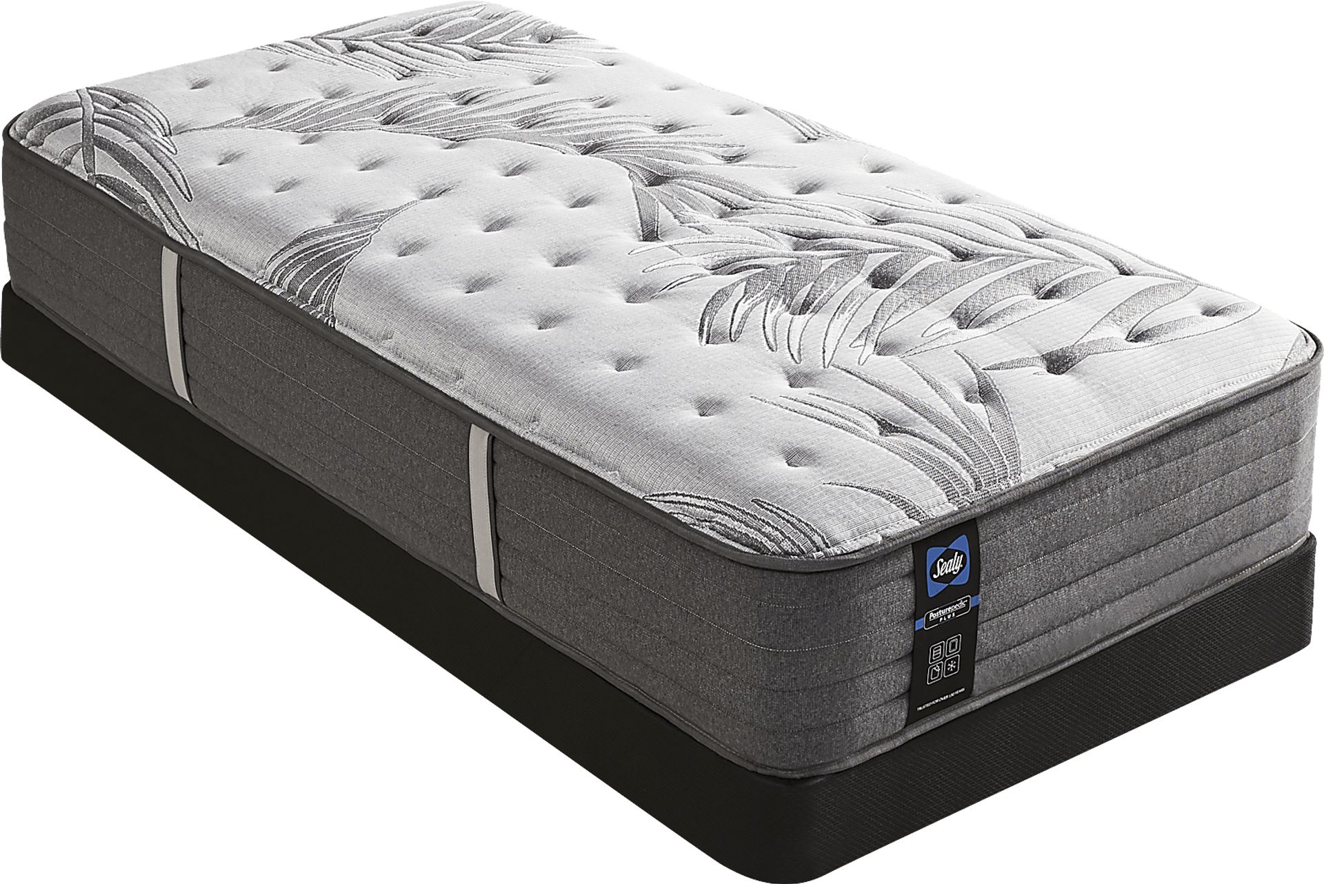 Sealy Posturepedic Plus Lockfield Low Profile Twin Mattress Set - Image 1