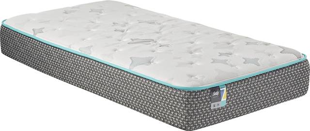 Sealy Z-501 Twin Mattress - Thumbnail - Image 1