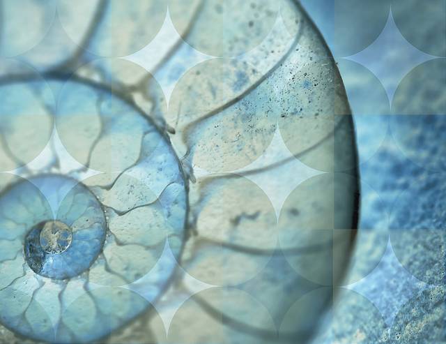 Seashell Gleam Blue Artwork - Thumbnail - Image 1