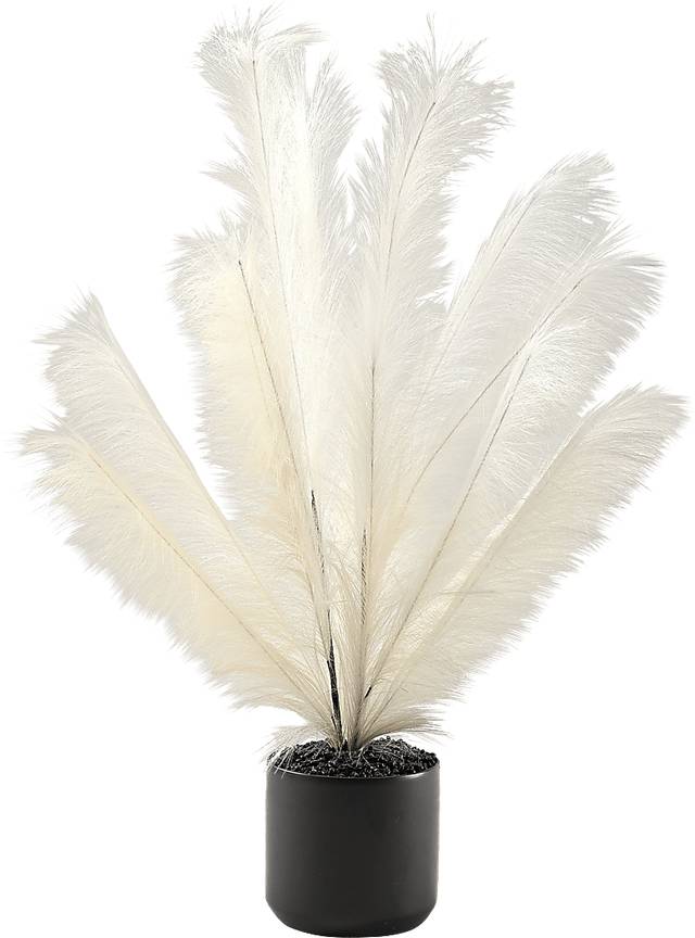 Senasac Black Plume Feathers - Thumbnail - Image 1