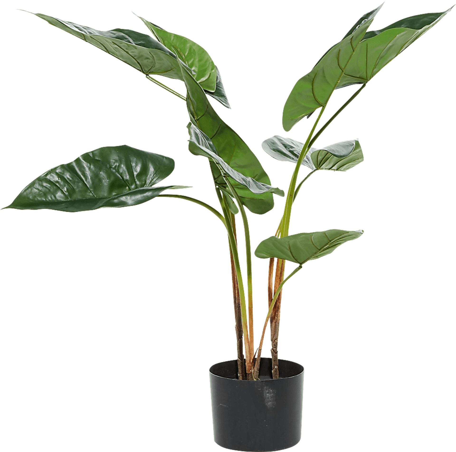 Sereya Green Silk Plant - Image 6