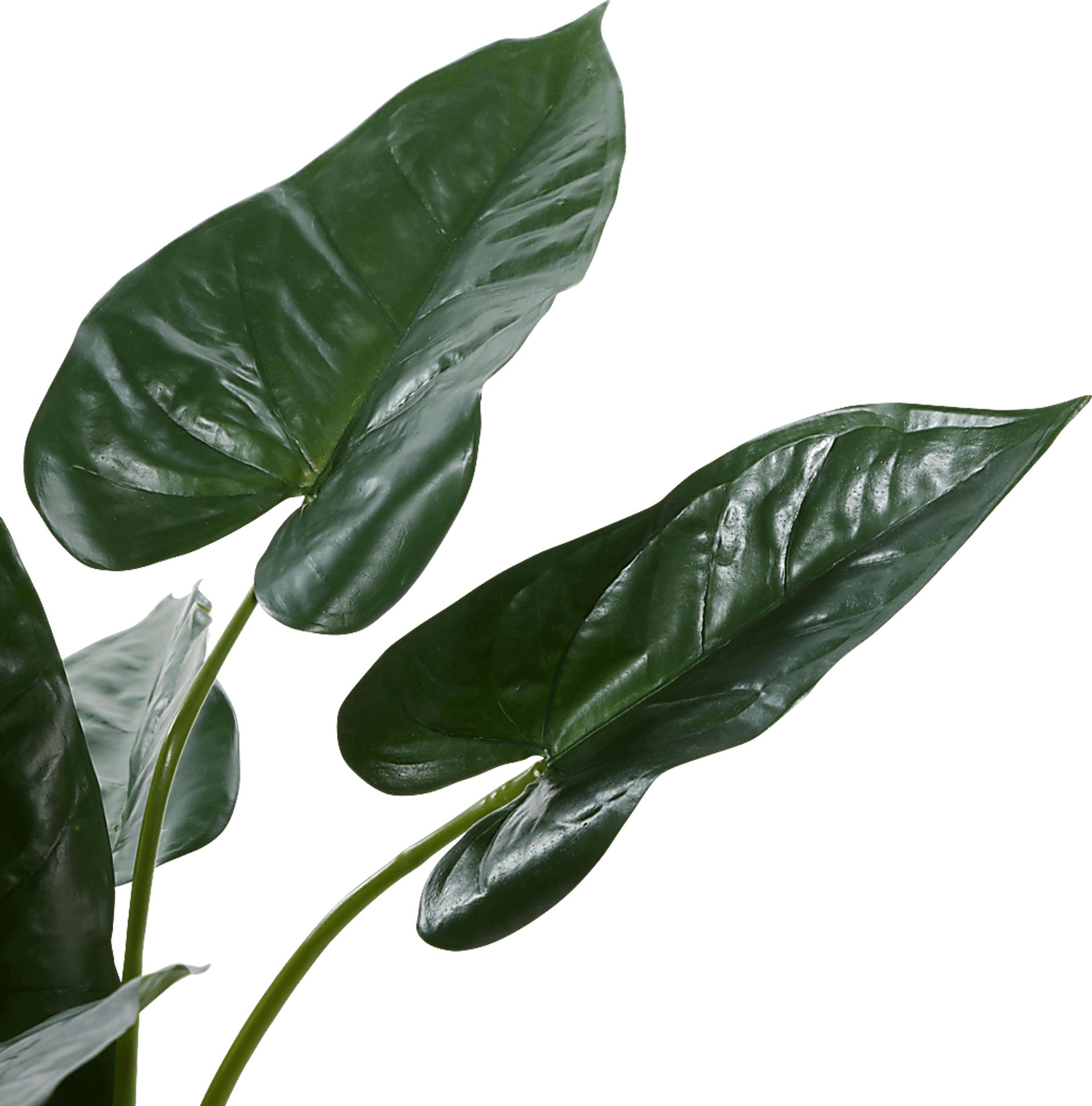 Sereya Green Silk Plant - Image 7