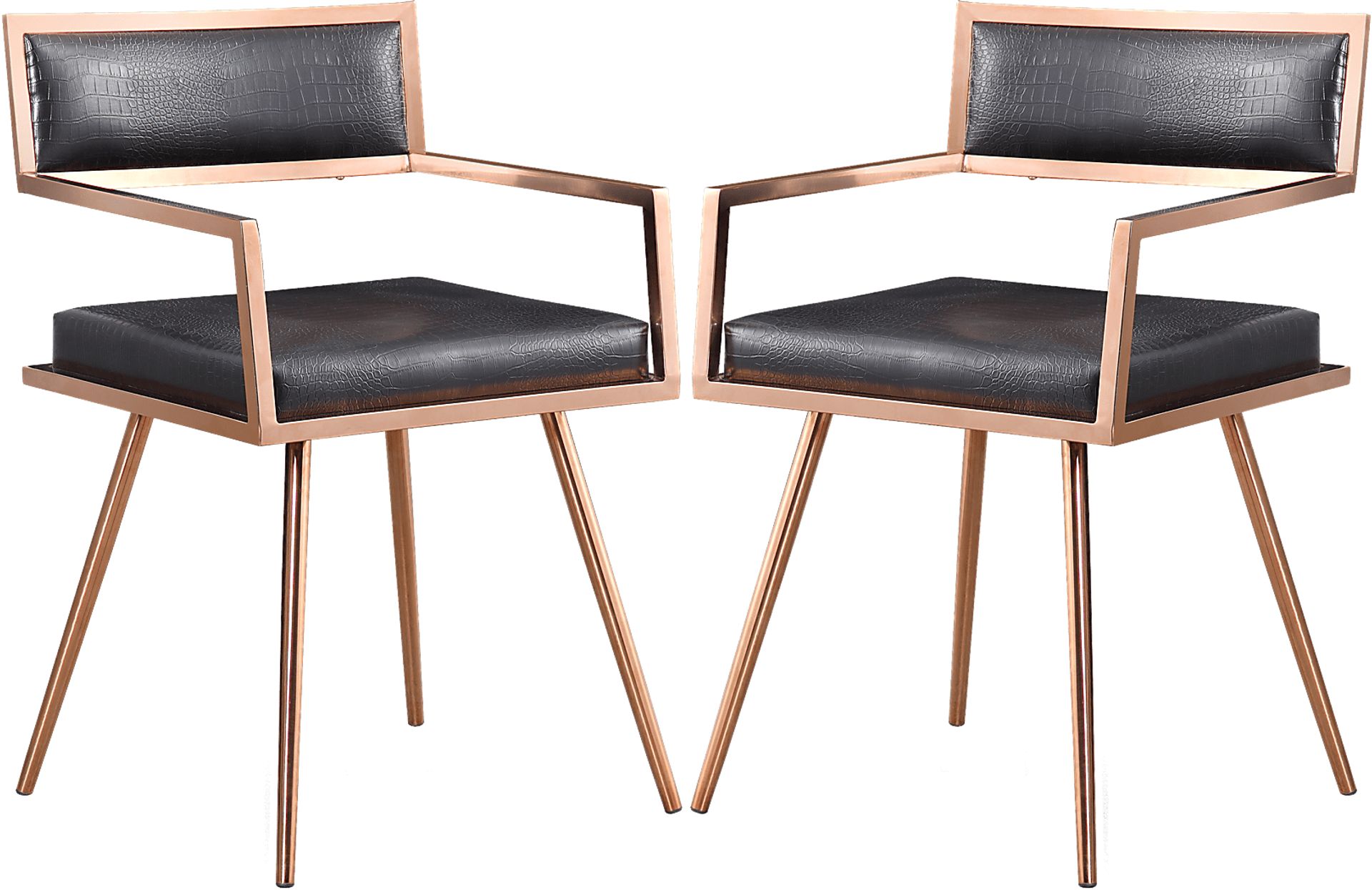 Seton Black Dining Chairs (Set of 2) - Image 1