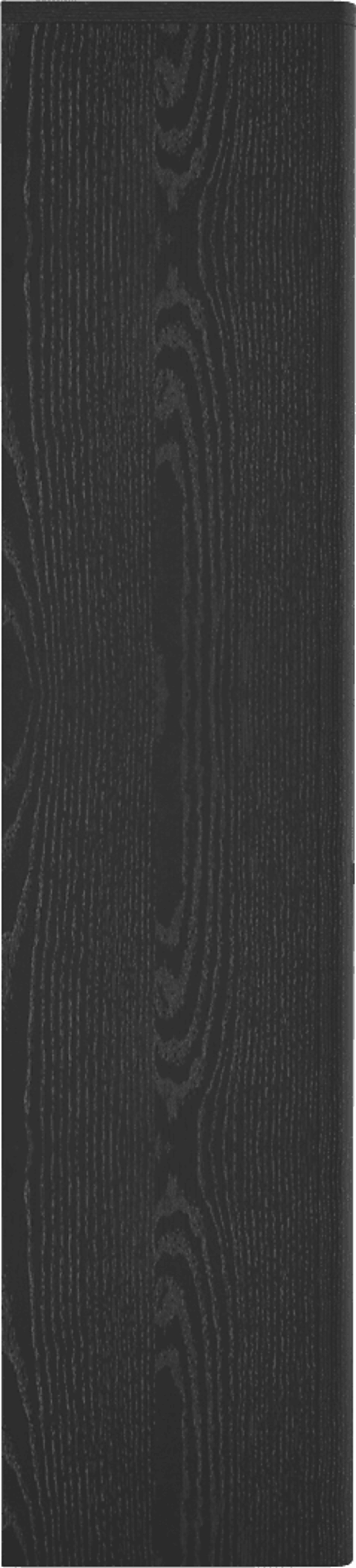 Shadebooks II Black Storage Cabinet - Image 9