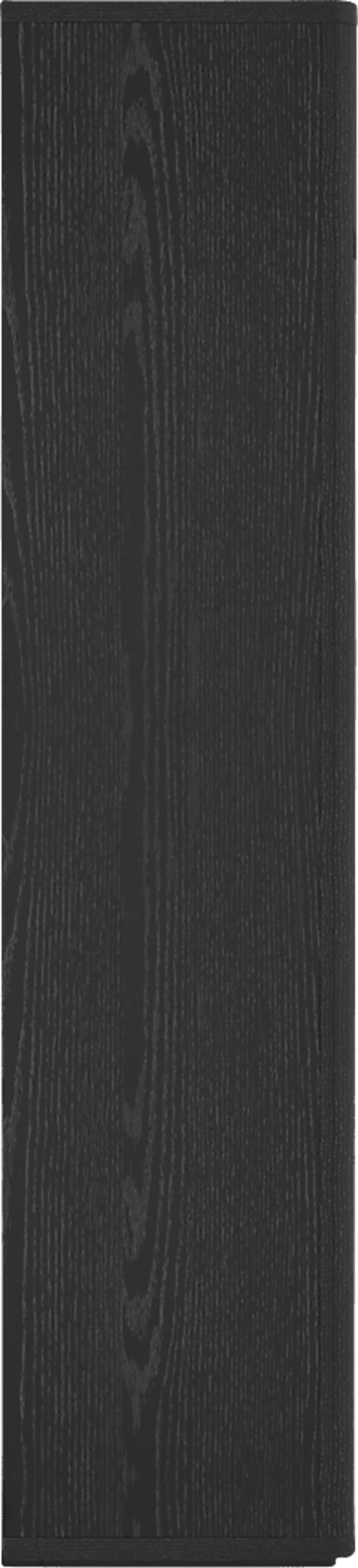 Shadebooks III Black Accent Cabinet - Image 5