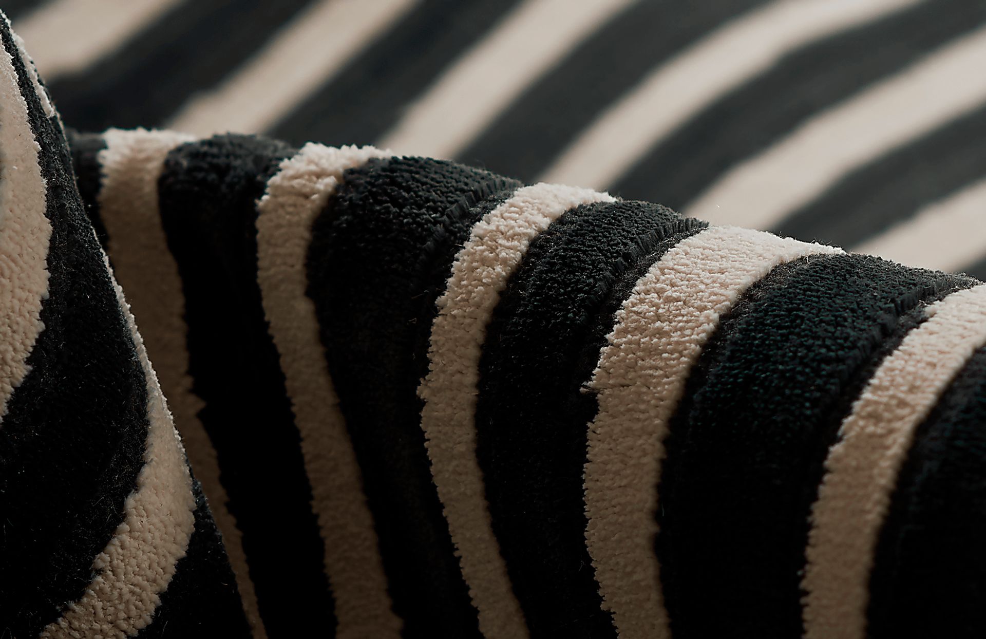 Shadow Black 3'11 x 5'7 Rug - Image 7
